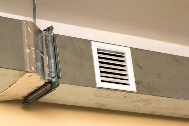 Best Air Duct Mold Removal  in Freeport, NY